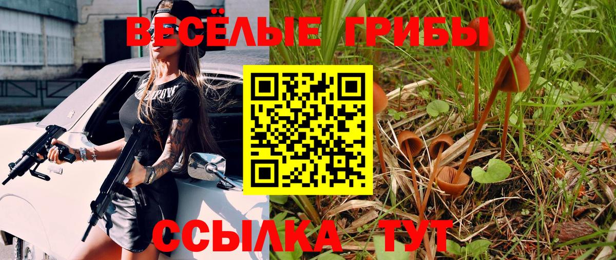 Галлюциногенные грибы Magic Shrooms  Вход с VPN  Киров 